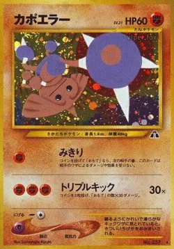 Hitmontop 「CROSSING_THE_RUINS No. 038」「JP」